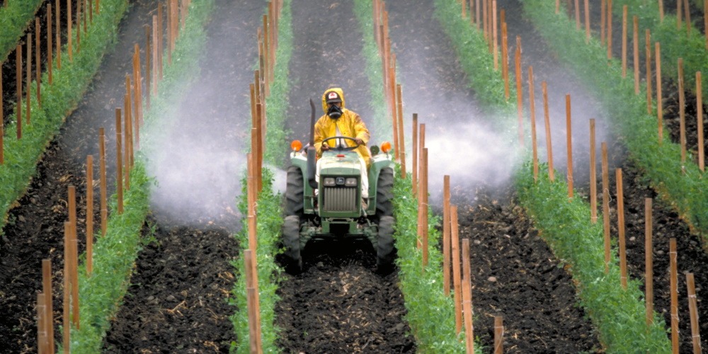 Sythesis of Pesticide
